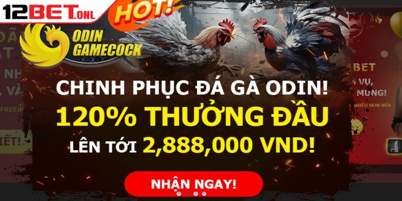 Thành viên sở hữu ID chính thức sẽ được tận hưởng vô số ưu đãi